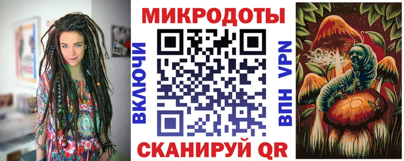 Галлюциногенные грибы Psilocybine cubensis Гусев